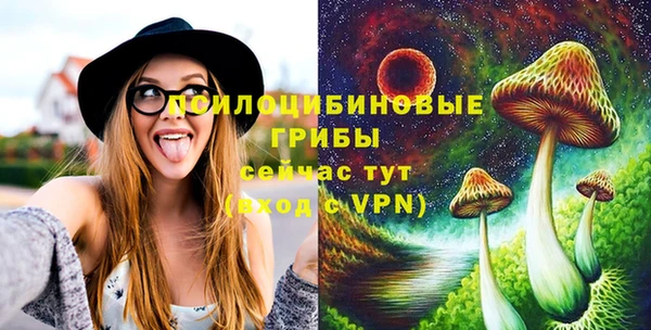 ГАЛЛЮЦИНОГЕННЫЕ ГРИБЫ Магас