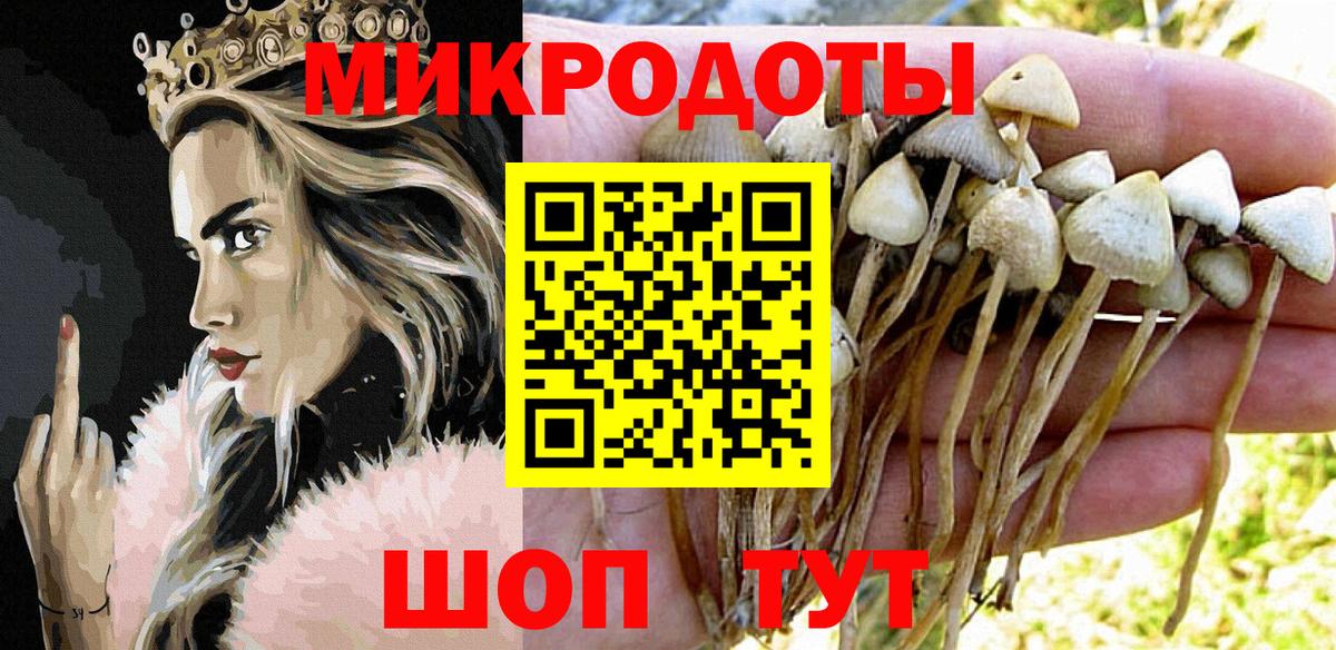 Псилоцибиновые грибы мухоморы Лесозаводск
