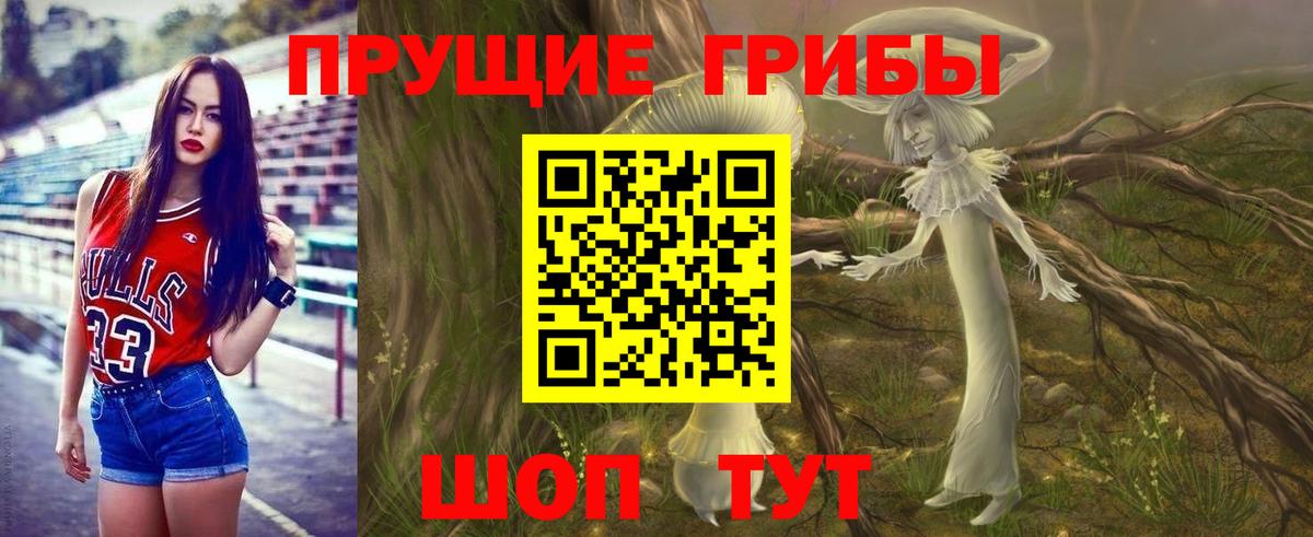 Галлюциногенные грибы Psilocybine cubensis  Вход с VPN  Лесозаводск 